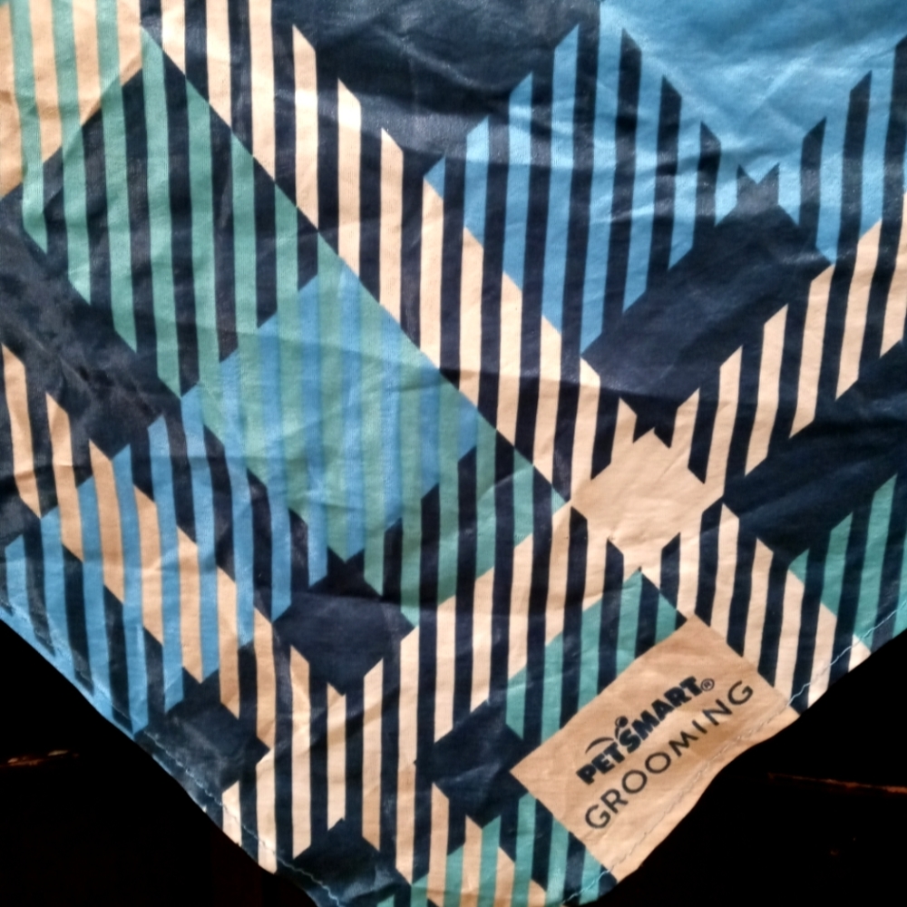 PetSmart grooming bandana - Picture 2 of 2